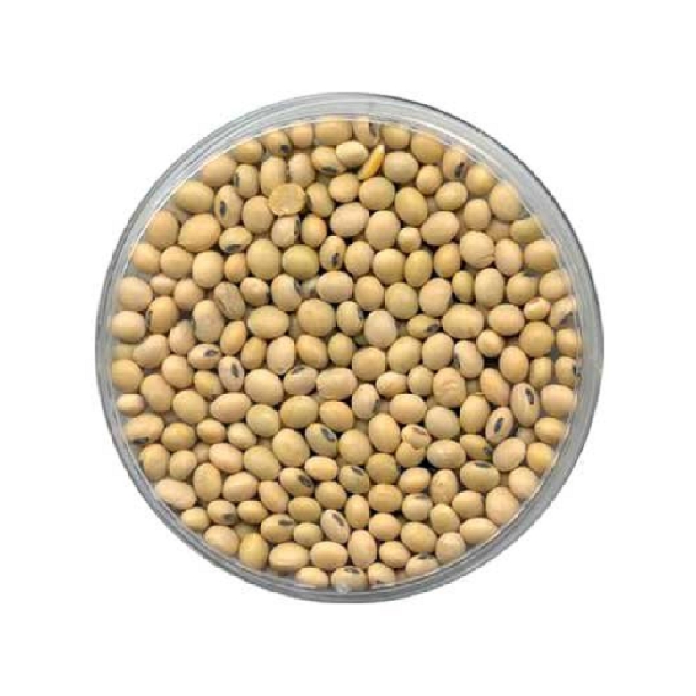 Whole Soyabean - 500 g