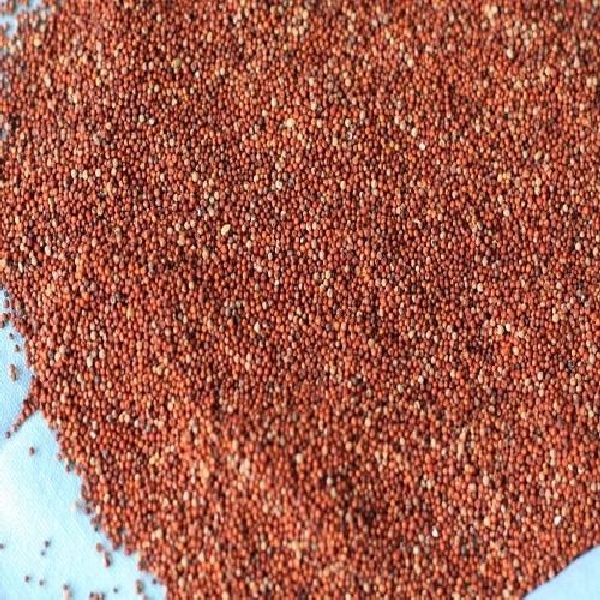 Whole Ragi (Finger Millet) - 500 g