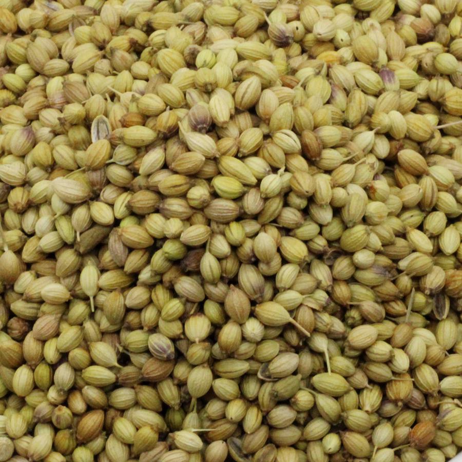 Dhania (Coriander  Seeds) - 50 g