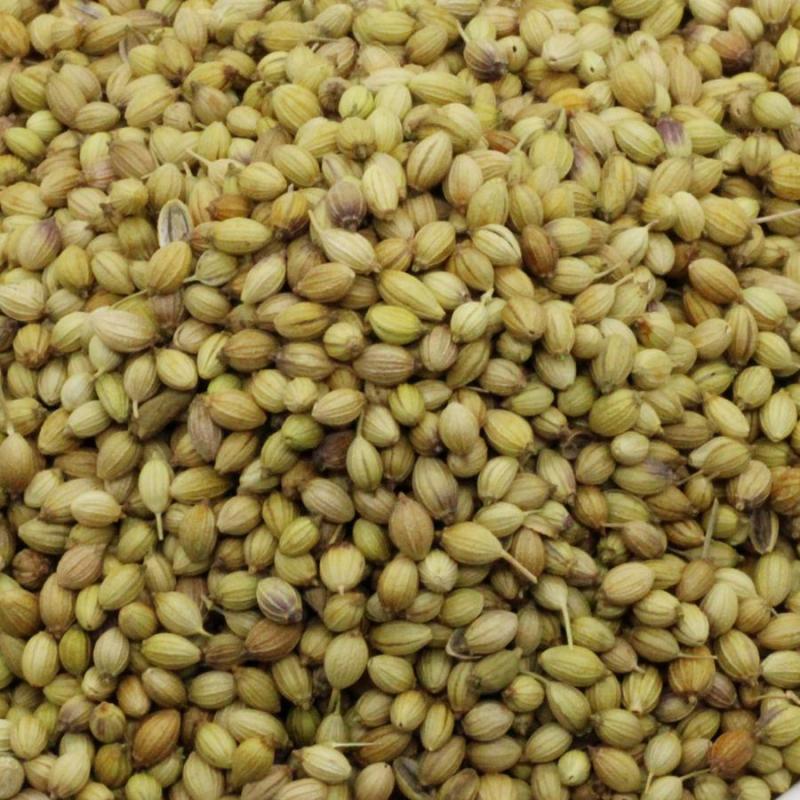 Dhania (Coriander  Seeds) - 500 g