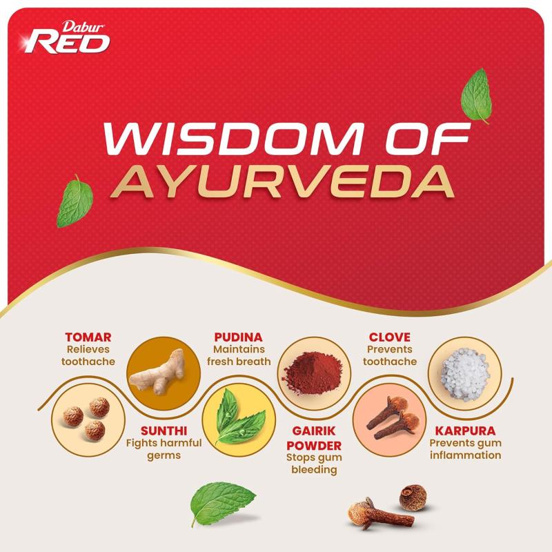 Dabur Red Ayurvedic Paste - 100 g
