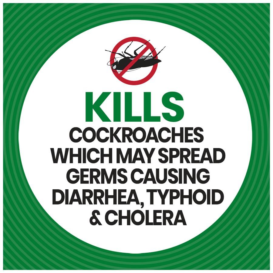 Baygon Cockroach Killer Spray - 400 ml