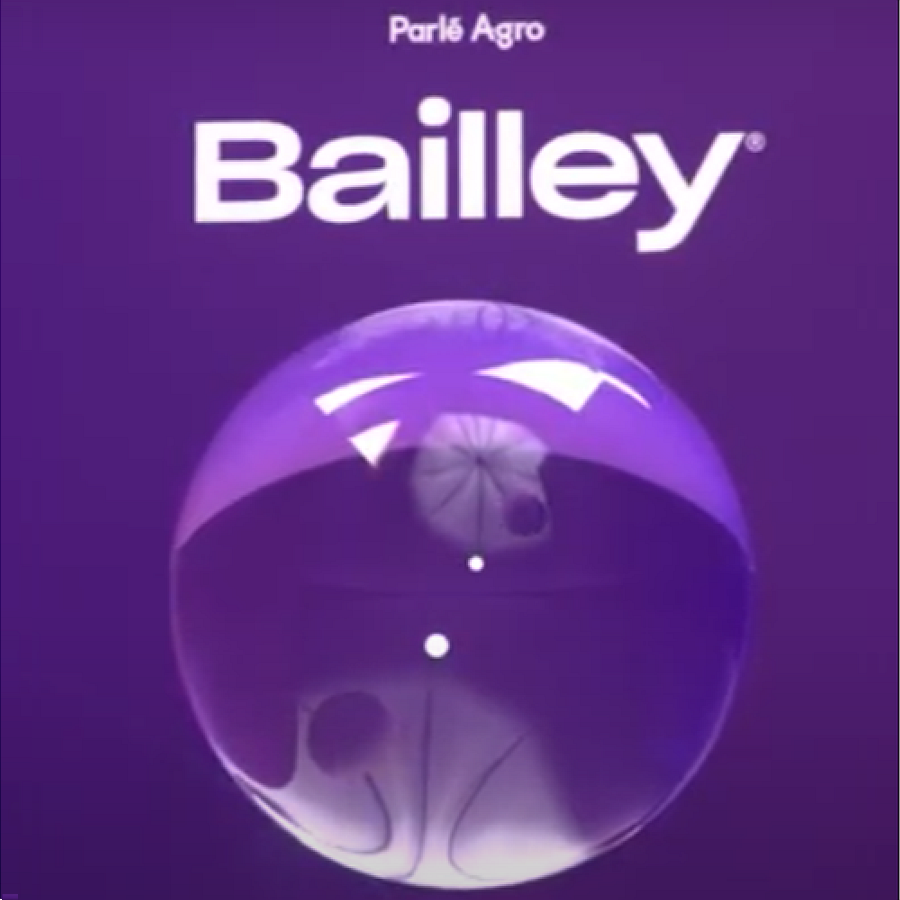 Bailley Packaged Drinking Water - 2 lit
